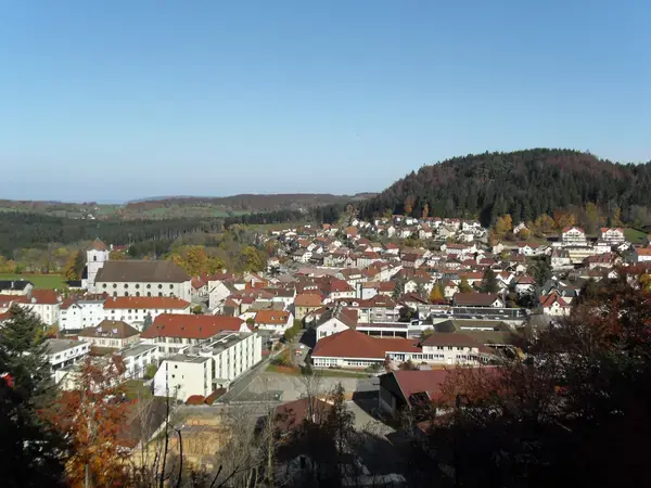 Monte Escalier 25 Installateur Monte Escalier Maîche