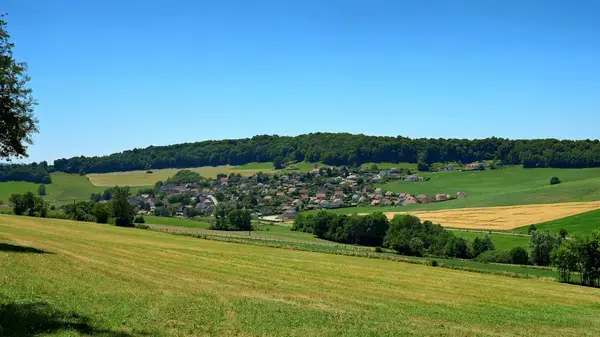 Monte Escalier 25 Installateur Monte Escalier Pugey